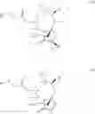 Fig. 04 - Pleuromutilin derivatives, process for their preparation and uses thereof