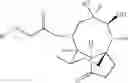 Fig. 10 - Pleuromutilin derivatives, process for their preparation and uses thereof