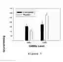 Fig. 08 - Use of phenserine and analogs to treat behavioral problems and improve trainability