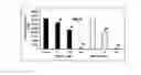 Fig. 01 - Methods for inhibiting osteoclastogenesis