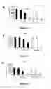 Fig. 02 - Methods for inhibiting osteoclastogenesis