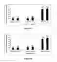 Fig. 08 - Methods for inhibiting osteoclastogenesis