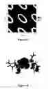 Fig. 09 - Cannabinoid derivatives, methods of making, and use thereof