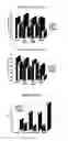 Fig. 04 - Resin compositions for producing biaxially oriented polypropylene films