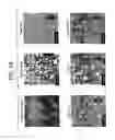Fig. 28 - Catalyst composition comprising shuttling agent for ethylene multi-block copolymer formation
