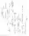 Fig. 06 - Functional norbornenes and polymeric derivatives and fabrication thereof
