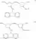 Fig. 08 - Functional norbornenes and polymeric derivatives and fabrication thereof