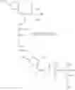 Fig. 82 - Functional norbornenes and polymeric derivatives and fabrication thereof