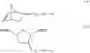 Fig. 93 - Functional norbornenes and polymeric derivatives and fabrication thereof