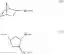 Fig. 24 - Functional norbornenes and polymeric derivatives and fabrication thereof