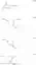 Fig. 33 - Functional norbornenes and polymeric derivatives and fabrication thereof
