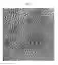 Fig. 09 - Polyurethanes prepared from polycarbonate polyols, articles and coatings prepared therefrom and methods of making the same