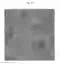 Fig. 11 - Polyurethanes prepared from polycarbonate polyols, articles and coatings prepared therefrom and methods of making the same