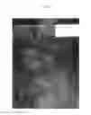 Fig. 16 - Polyurethanes prepared from polycarbonate polyols, articles and coatings prepared therefrom and methods of making the same
