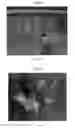 Fig. 19 - Polyurethanes prepared from polycarbonate polyols, articles and coatings prepared therefrom and methods of making the same