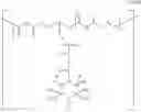 Fig. 15 - Biologically absorbable coatings for implantable devices based on polyesters and methods for fabricating the same
