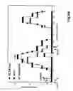 Fig. 13 - Use of soluble forms of CD83 and nucleic acids encoding them for the treatment or prevention of diseases