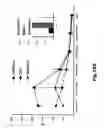 Fig. 19 - Use of soluble forms of CD83 and nucleic acids encoding them for the treatment or prevention of diseases