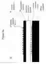 Fig. 08 - Nanoscale array biomolecular bond enhancer device