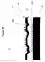 Fig. 09 - Nanoscale array biomolecular bond enhancer device