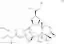Fig. 49 - Method for producing pentacyclic taxans