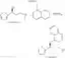 Fig. 04 - Process for the asymmetric synthesis of duloxetine
