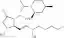 Fig. 25 - Processes and intermediates for the preparations of prostaglandins