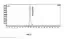 Fig. 06 - Platinum (II) complexes, preparation and use