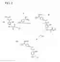 Fig. 03 - Bifunctional energy-reversible acyl-compositions