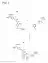 Fig. 06 - Bifunctional energy-reversible acyl-compositions