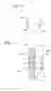 Fig. 31 - Brachytherapy apparatus and methods of using same