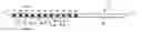 Fig. 01 - Multi-electrode lead