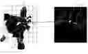 Fig. 01 - Method and apparatus for visually supporting an electrophysiological catheter application in the heart by means of bidirectional information transfer