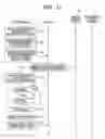 Fig. 09 - Medical image diagnostic system for creating order information