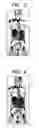 Fig. 04 - Magnetic resonance imaging apparatus and imaging method in the same