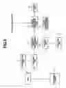 Fig. 06 - Ultrasonic diagnostic apparatus