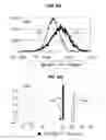Fig. 12 - Real-time Elastic Registration to Determine Temporal Evolution of Internal Tissues for Image-Guided Interventions