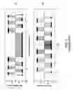 Fig. 07 - Fresnel zone imaging system and method