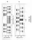 Fig. 10 - Fresnel zone imaging system and method