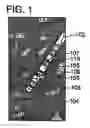 Fig. 02 - Microelectrode recording analysis and visualization for improved target localization