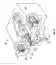 Fig. 13 - Method and apparatus for penetrating tissue