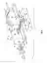 Fig. 06 - Method and apparatus for penetrating tissue