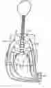 Fig. 01 - Apparatus for spinal positioning