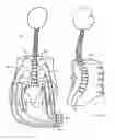 Fig. 02 - Apparatus for spinal positioning