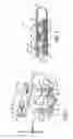Fig. 03 - Medical line anchoring system