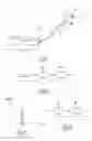 Fig. 02 - Method and system for optically bleaching keratinous fibers