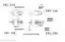 Fig. 11 - Manipulation and cutting system and method