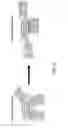 Fig. 08 - Multi-layer balloons for medical applications and methods for manufacturing the same