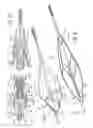 Fig. 05 - Support structures for embolic filtering devices