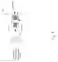 Fig. 10 - Flexible vertebral implant